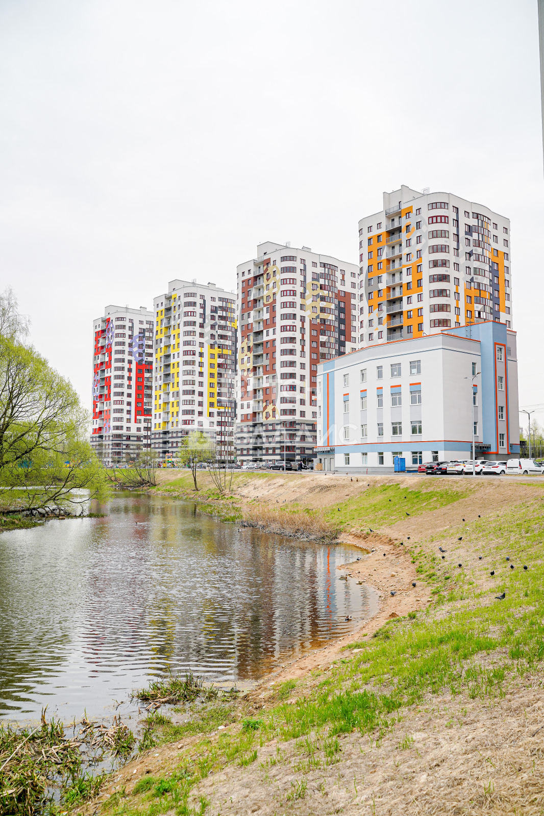 1-комнатная квартира, городской округ Пушкинский, Ивантеевка, улица  Прокудина, д.2 #932075