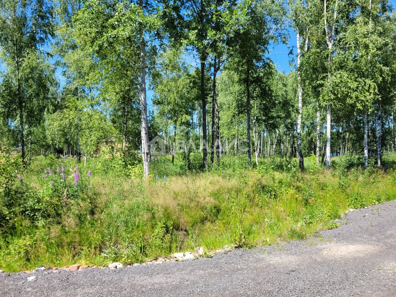 Коммерческая земля Раменский городской округ, коттеджный посёлок Усадьба в  лесу, квартал 20451 #934319