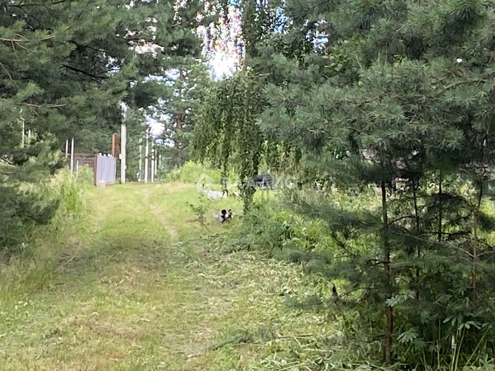 Купить земельный участок, городской округ Владимир, сад Заречье,  Октябрьский район #954543