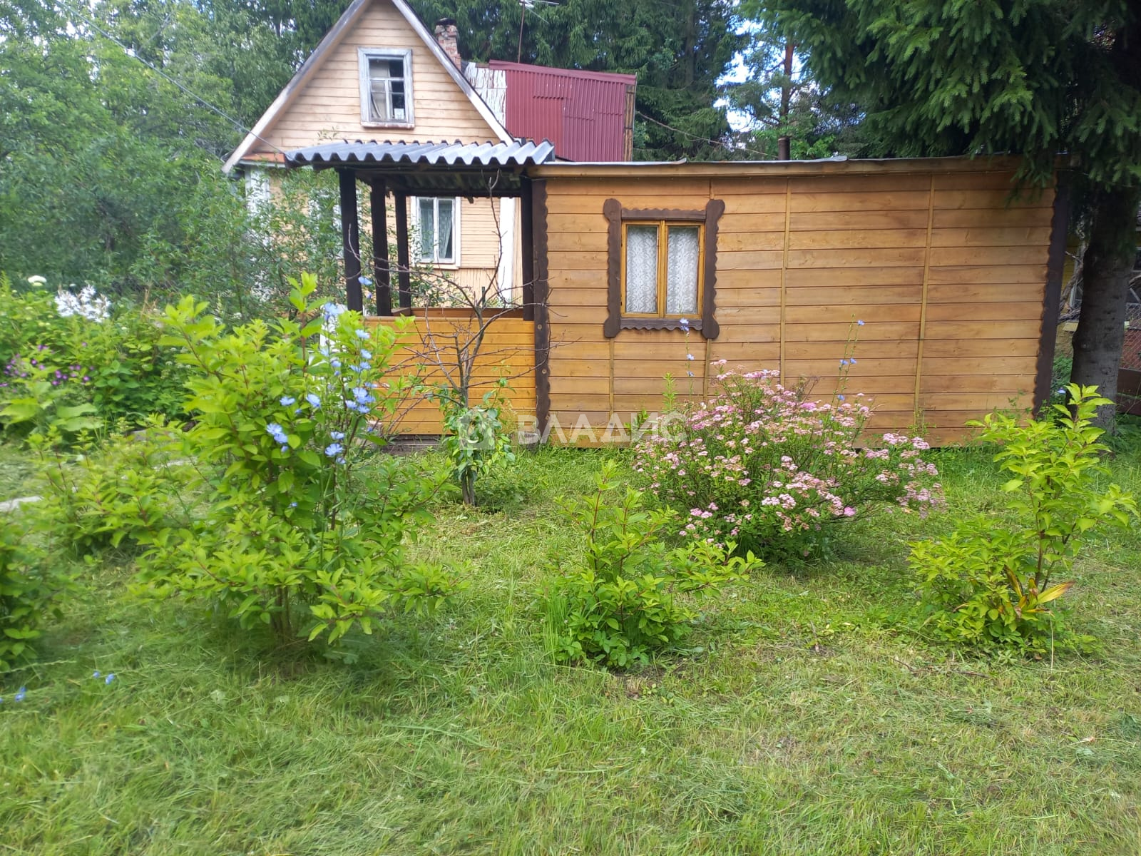 Купить Дом С Участком В Снт Невское