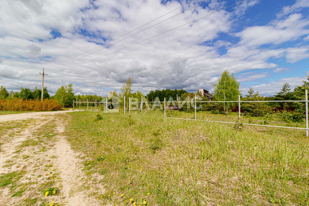 добрая земля судогодский. судогодский район д. природа село чамерево судогодского района. добрая земля судогодский. ёлка добрая земля судогда.