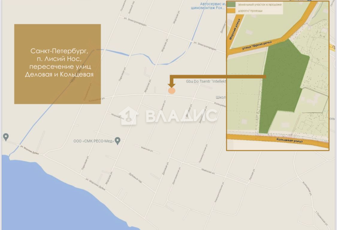 участки лисий нос. поселок лисий нос. лисий нос лес. участки лисий нос. лисий нос лес.