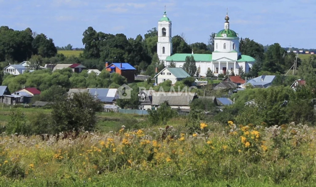 Село борисовское суздальского. Борисовское (Владимирская область). Село Борисово Владимирская область. Деревня Борисовское.