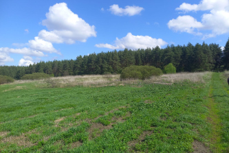 село Лысые Горы, микрорайон Лысогорский, Колхозная улица