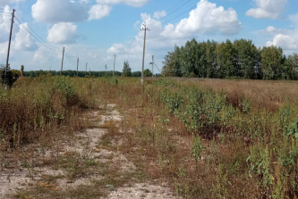 село Никольское, сельцо Александровка