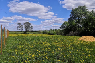 село Стрельцы, Южная улица