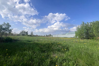 село Елецкое, улица Натуралистов