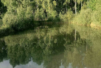 ТСН Варварино Поле