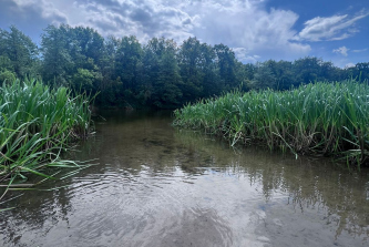 село Делеховое, Набережная улица