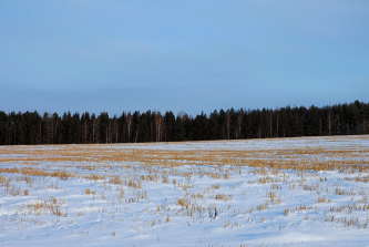 село Ворша, Цветочная улица