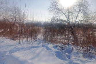 СТ Доброе, посёлок Моховая Падь, посёлок Моховая Падь