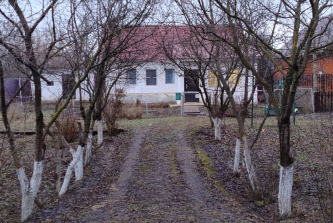 село Лопатино, Центральная улица