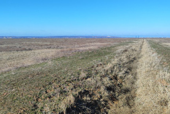 село Большие Чапурники