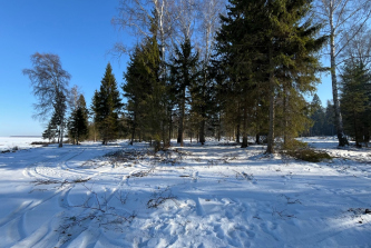 деревня Ивановское (Огарковский сельский округ)