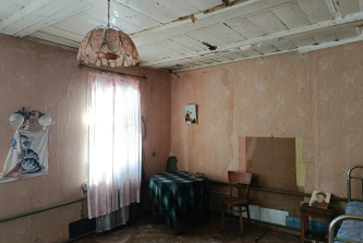село Добрые Пчёлы, Центральная улица