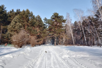 село Верхотомское