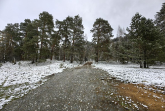 село Кара-Торбок, Дилевская улица
