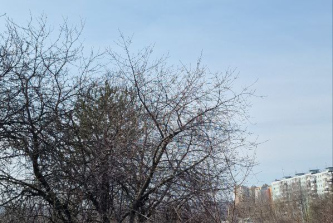 СНТ Дружба, Приокский район