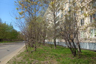 улица Академика Павлова, д.13