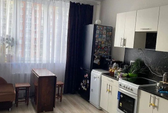деревня Анкудиновка, Русская улица, д.14