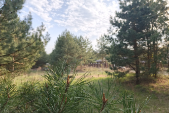 село Кусуново, Октябрьский район, Волозинская улица