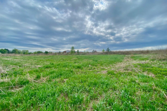 село Вышгород
