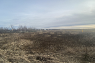 село Романово