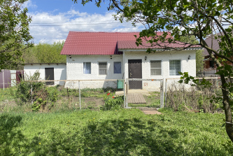 село Лопатино, Центральная улица