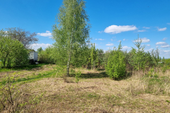 садоводческое товарищество Грачи