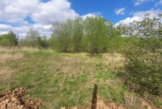 село Павловское
