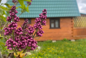 СНТ Прогресс