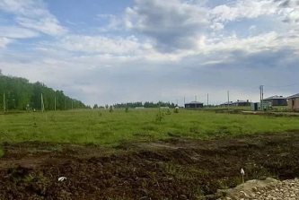 деревня Берновые Ковали