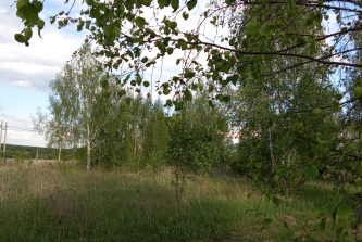 посёлок Мурмино