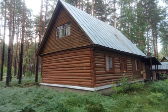 деревня Деулино, Лесная улица