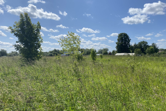 село Новоалександрово