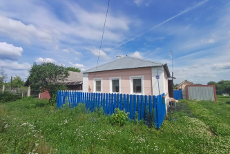 село Новики, Школьная улица