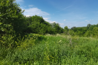 село Вышетравино, Дачная улица