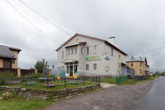 деревня Зелени, Полевая улица