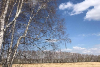 деревня Вишнёвка