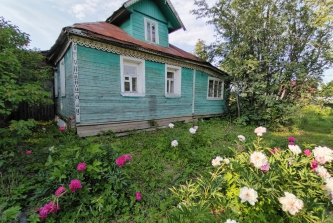 деревня Сальково