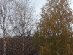 Участок городской округ Солнечногорск . Фото 2