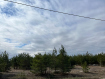 Участок Рязанский район . Фото 2