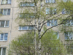 1-комнатная квартира, проспект Большевиков, 9к1Щ. Фото 15