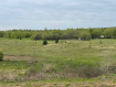 Участок городской округ Владимир Ленинский район. Фото 2