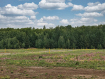 Участок Гурьевский городской округ . Фото 1
