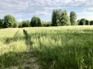 Участок Кирилловский муниципальный округ . Фото 2