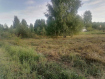 Участок Судогодский район . Фото 6