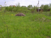 Участок городской округ Владимир Ленинский район. Фото 2