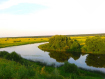 Дом Суздальский район . Фото 28