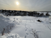 Участок городской округ Владимир Ленинский район. Фото 7